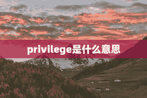 privilege是什么意思